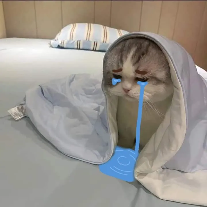 Hình chế mèo cúi đầu thể hiện nỗi cô độc.