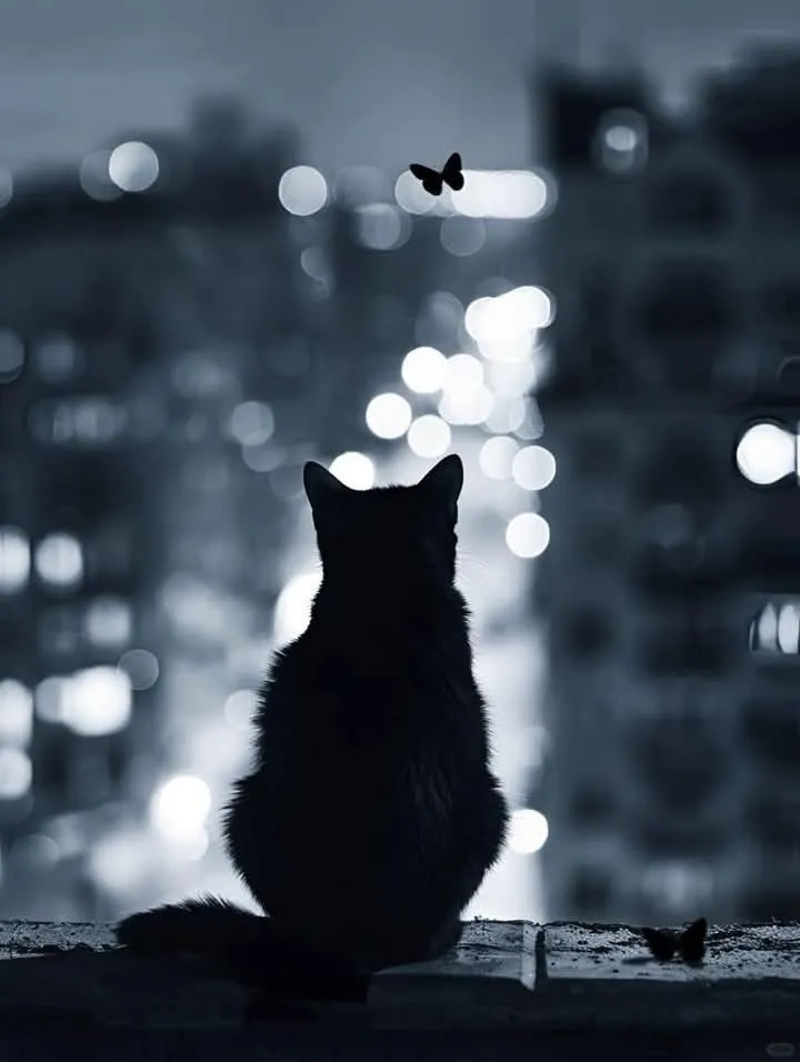 Mèo nhíu mày buồn bã, đôi tai cụp xuống đầy sầu thảm.