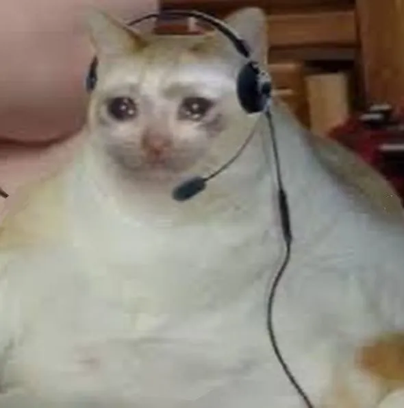 Hình chế mèo gục đầu kể chuyện tình tan.