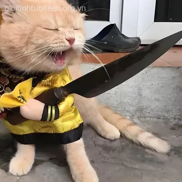 Meme mèo hù bạn kiểu vừa dọa vừa cute cực