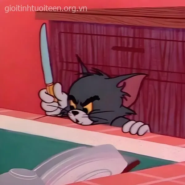 Ảnh vui caption troll đi kèm meme mèo Tom cầm dao