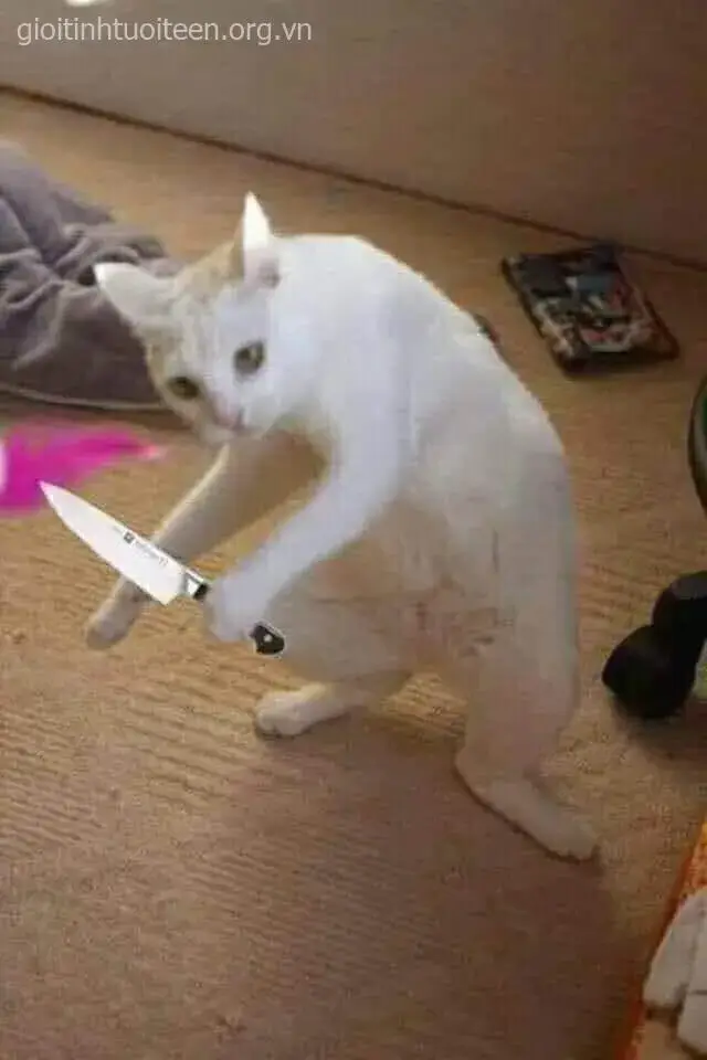 Meme hài biểu cảm méo xệch khiến ai cũng cười