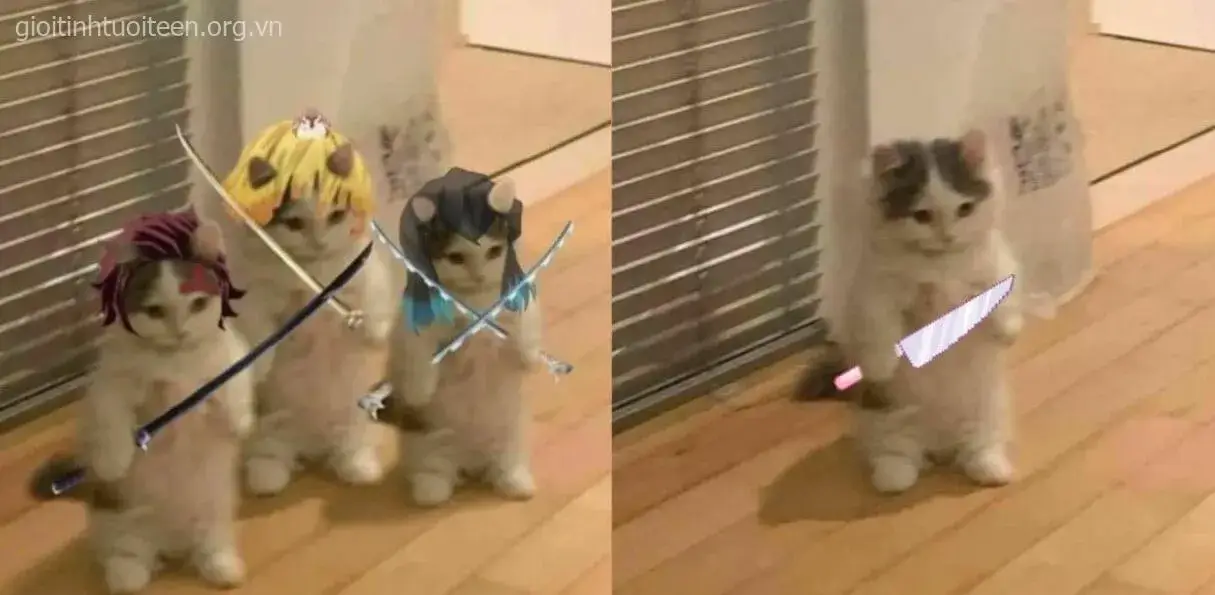 Biểu cảm mèo đáng sợ, tay cầm dao đầy nham hiểm.