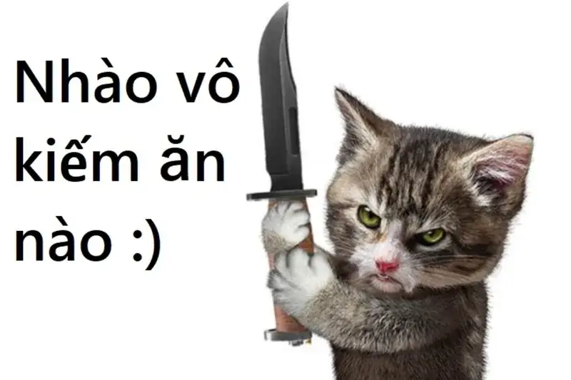 Meme hài dân mạng dùng dằn mặt nhẹ kiểu vui