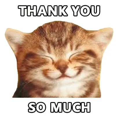 24 Mèo con cảm ơn, nụ cười siêu đáng yêu.