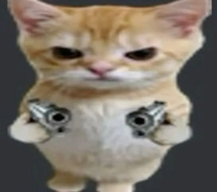 Hình chế mèo giận mà vẫn khiến ai thương
