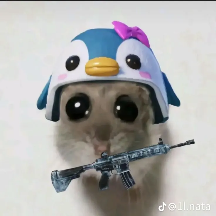 Meme mèo hài hước khiến comment mạng xã hội nổ tung