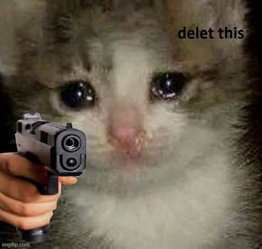 Meme mèo bựa caption “đứng yên, tao bắn đấy”