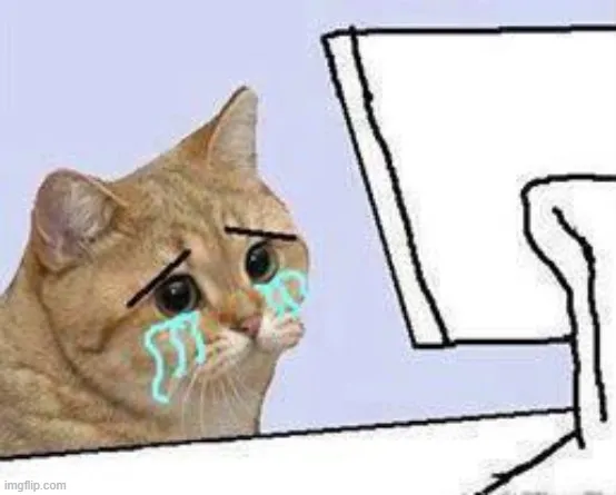 Meme mèo khóc huhu trước máy tính