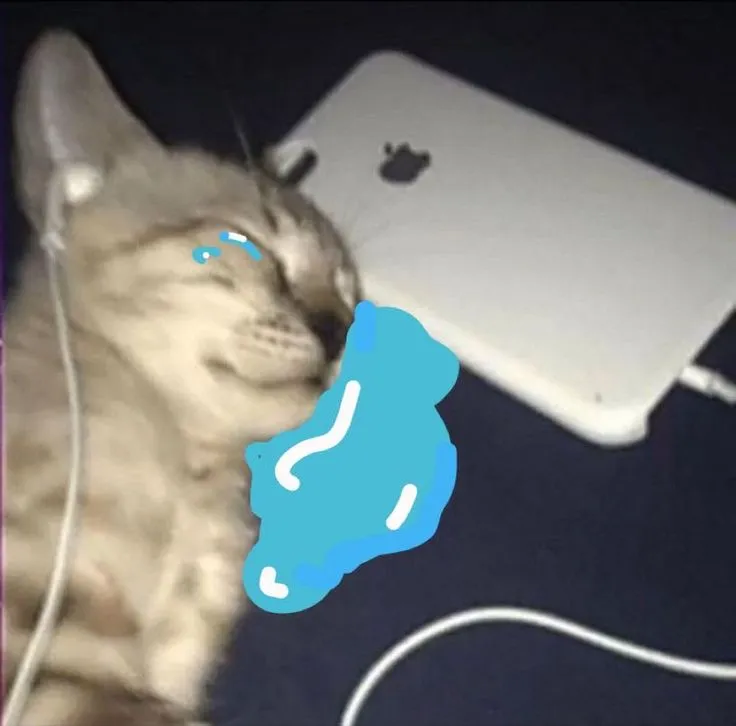 Meme hài mèo tủi thân được chia sẻ rần rần