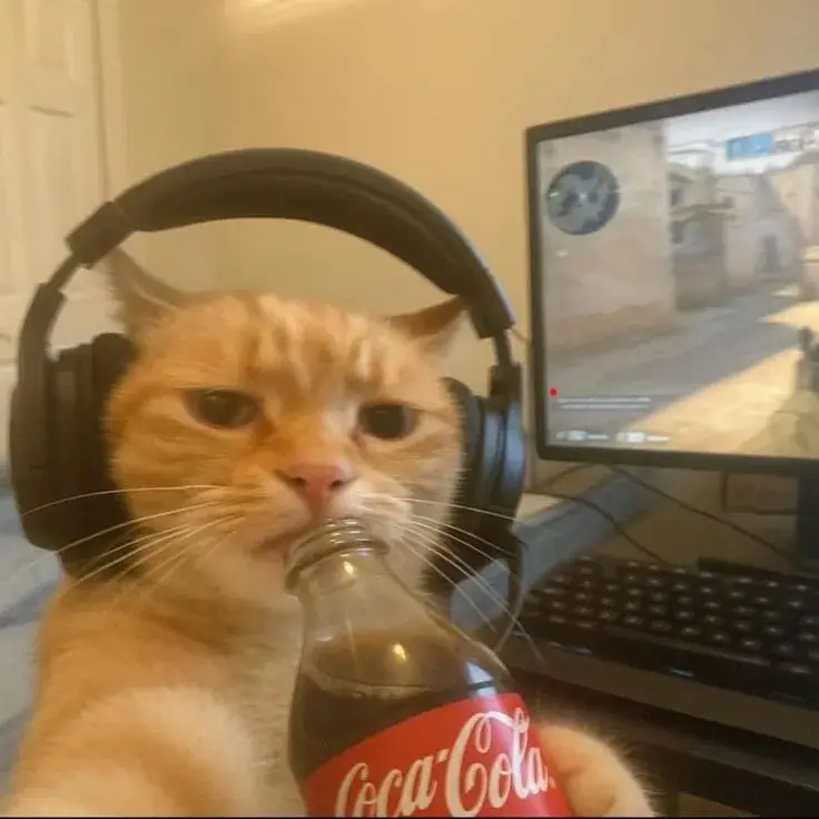 Ảnh chế mèo khinh khỉnh phản ánh biểu cảm con người