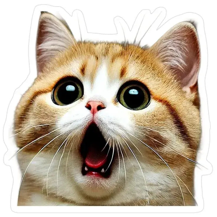 38 Ảnh chế phản ứng quá khích khiến dân mạng cười lăn