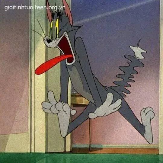 32 Biểu cảm mèo giật mình há mồm cực sốc