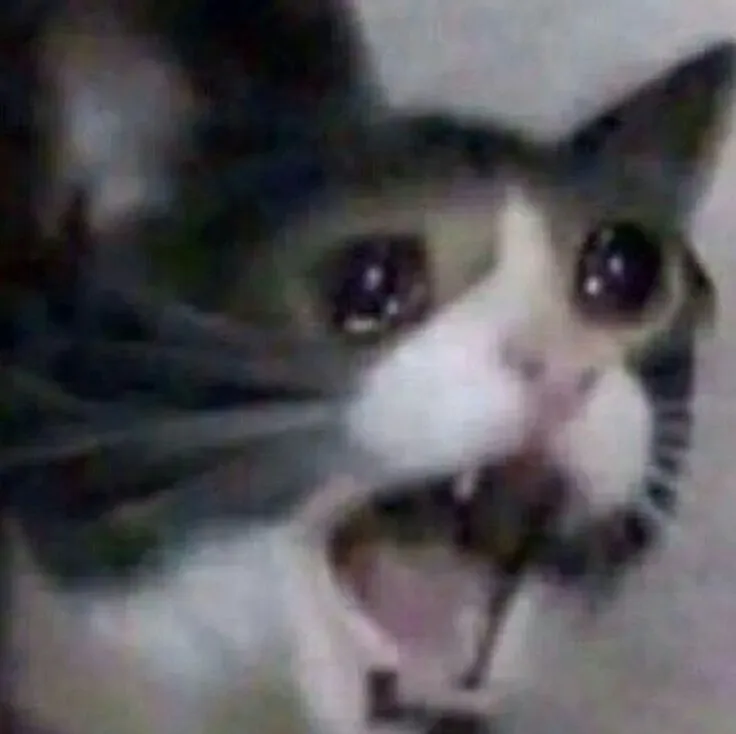 9 Ảnh meme vui zoom cận mặt khiến ai xem cũng thích