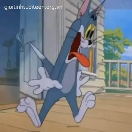 7 Meme mèo Tom hài miệng mở rộng tạo cảm xúc quá khích