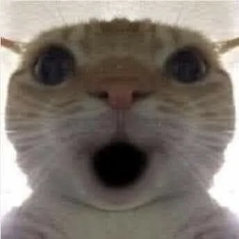 Meme mèo há mồm và khoảnh khắc biểu cảm khó đỡ nhất Meme mèo há mồm và khoảnh khắc biểu cảm khó đỡ nhất