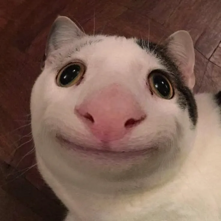 Ảnh chế cười gượng giữa chuỗi ngày cứ trôi đều đều không lối thoát.