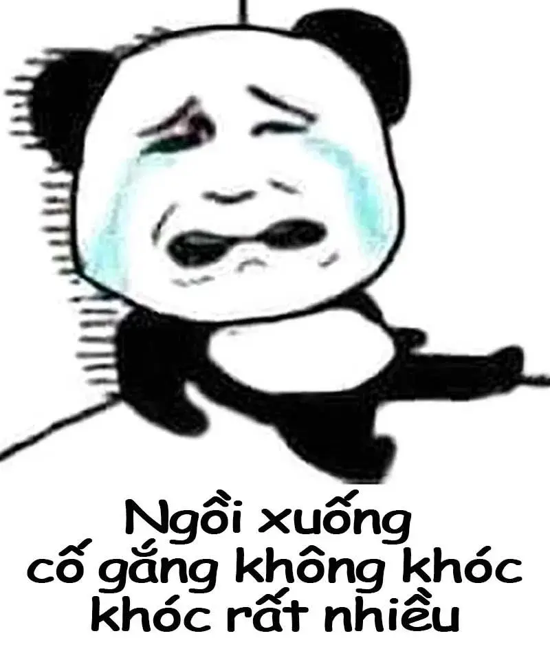 15 ảnh Meme Gấu Trúc Khóc Lóc ôm đầu buồn bã nói thay cảm xúc khó tả