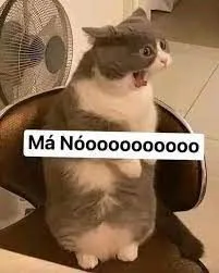 Meme mèo hài lan khắp Facebook với caption bựa