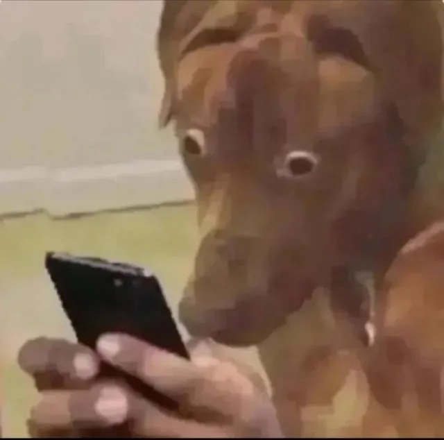 Ảnh troll chó ngạc nhiên khiến cư dân mạng thích thú