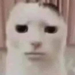 Meme mèo nhỏ biểu cảm dễ thương cực mạnh