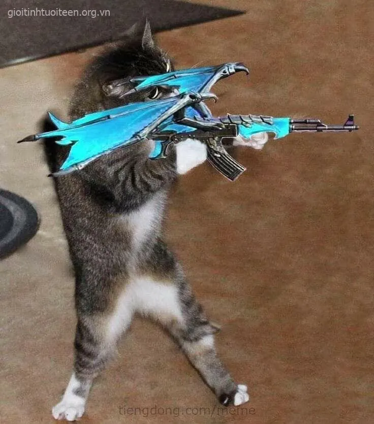 Meme troll bạn thân phản ứng “giận mà cưng”