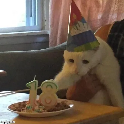 Hình troll mèo cô đơn cùng caption deep.