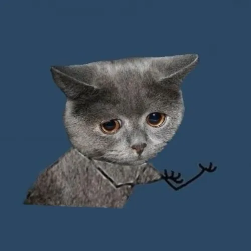 Ảnh chế mèo cô độc khiến mạng xã hội lặng.