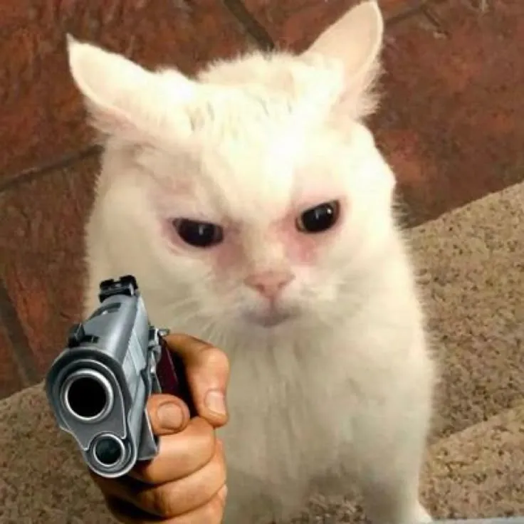 Meme mèo giận dữ mang phong cách phòng thủ bựa