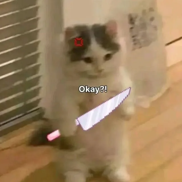 Khi dân mạng dùng meme mèo cầm dao để phản ứng cực gắt