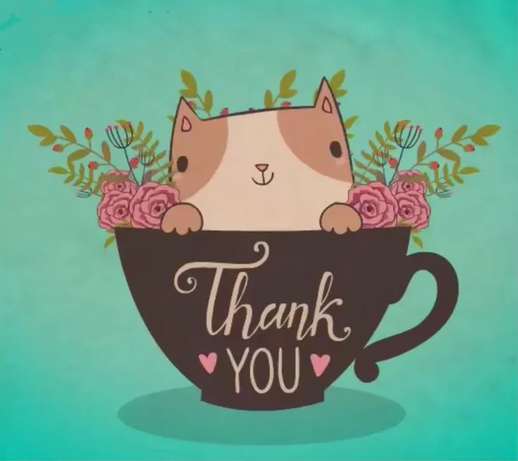 34 Mèo chắp tay nhỏ, biểu cảm biết ơn cực ngộ nghĩnh.