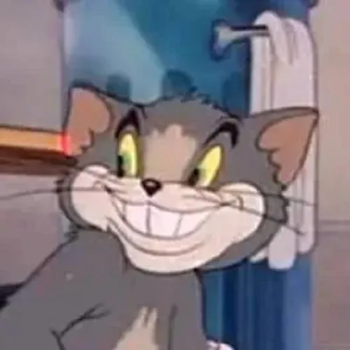 32 Hình chế mèo cười tinh quái lan truyền TikTok