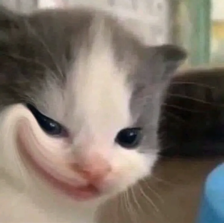 26 Biểu cảm mèo cười đểu nhếch mép, nụ cười nguy hiểm.