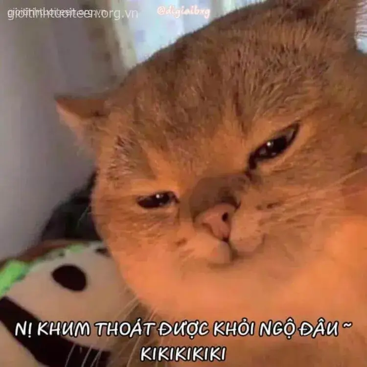 Nét mặt ranh mãnh, mèo cười mím môi cực gắt.