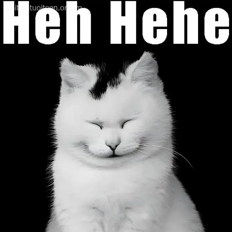 Khuôn mặt mèo cười châm chọc