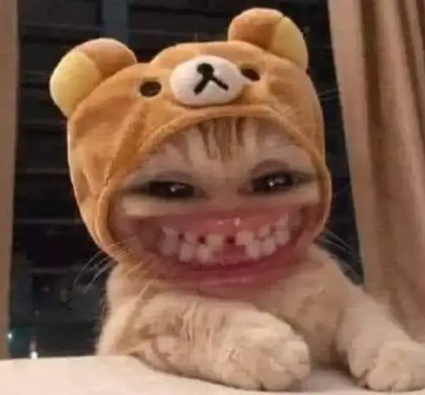 19 Khuôn mặt mèo cười lòi hàm răng, cực bá đạo.