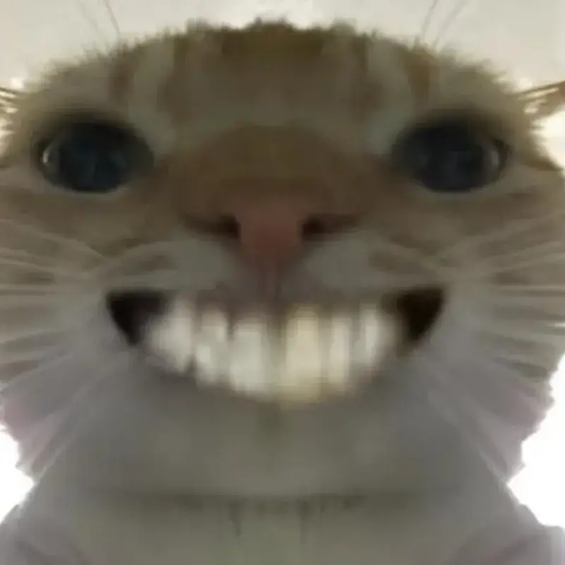 26 Ảnh hài thú cưng troll nhau bằng nụ cười nhe răng