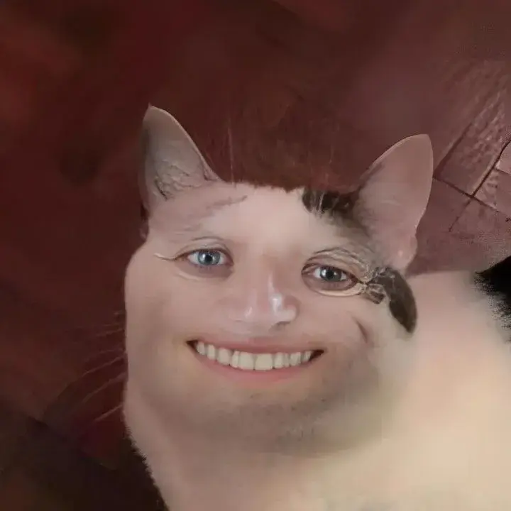 24 Meme chế răng trắng bật giữa khuôn mặt mèo bá đạo