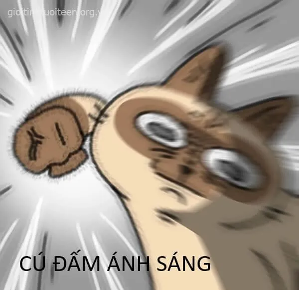 Ảnh chế mèo xù lông cãi nhau giữa phòng khách