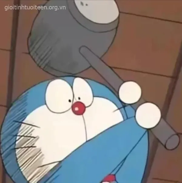 Ảnh chế mèo cào cấu nhìn vừa tức vừa buồn cười