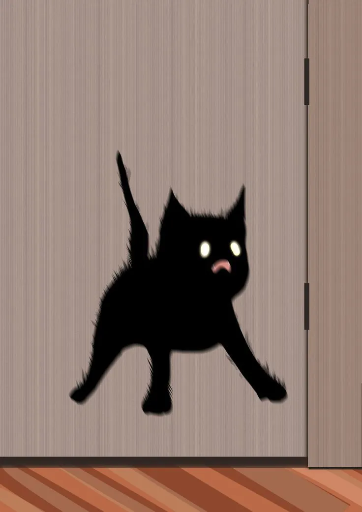 Ảnh vui mèo ngạc nhiên thể hiện cảm xúc không tin nổi.