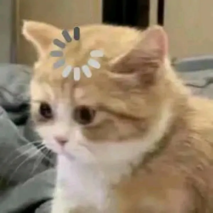 Biểu cảm bất ngờ mèo há hốc mồm, ánh mắt trợn tròn