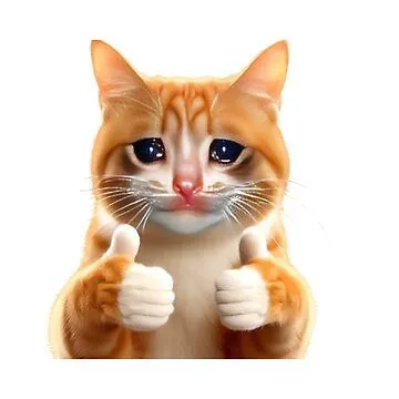 Mèo nhí nhảnh giơ tay oke, biểu cảm cực đáng yêu.