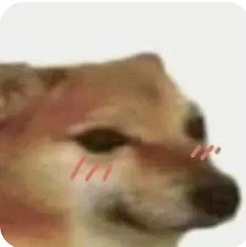 39 Ảnh chó Shiba mắc cỡ đỏ mặt siêu buồn cười