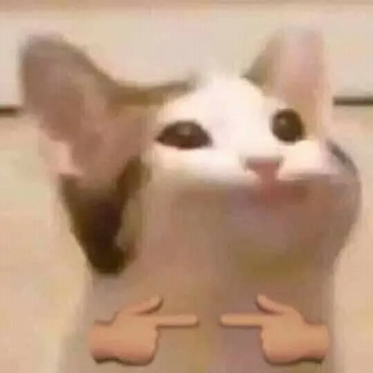 30 Ảnh vui mèo e dè trước lời khen trong chat