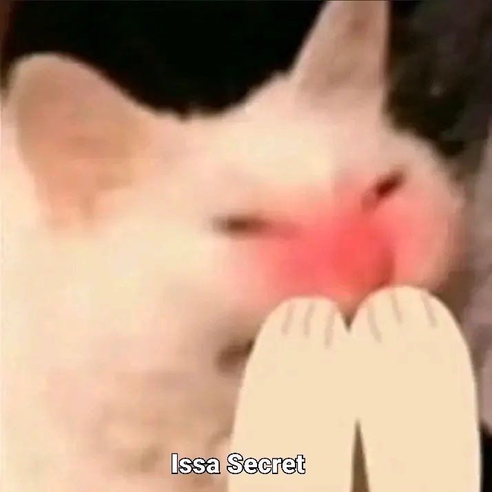 21 Meme vui mèo đỏ má phản ứng đáng yêu cực độ