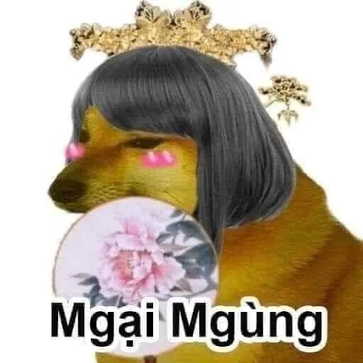 12 Meme mèo ngại và những pha “đỏ mặt” khiến dân mạng tan chảy