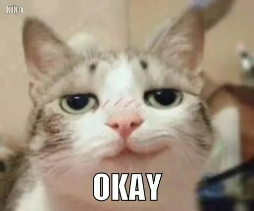 Meme mèo phán xét phản chiếu đúng dân mạng thích cà khịa