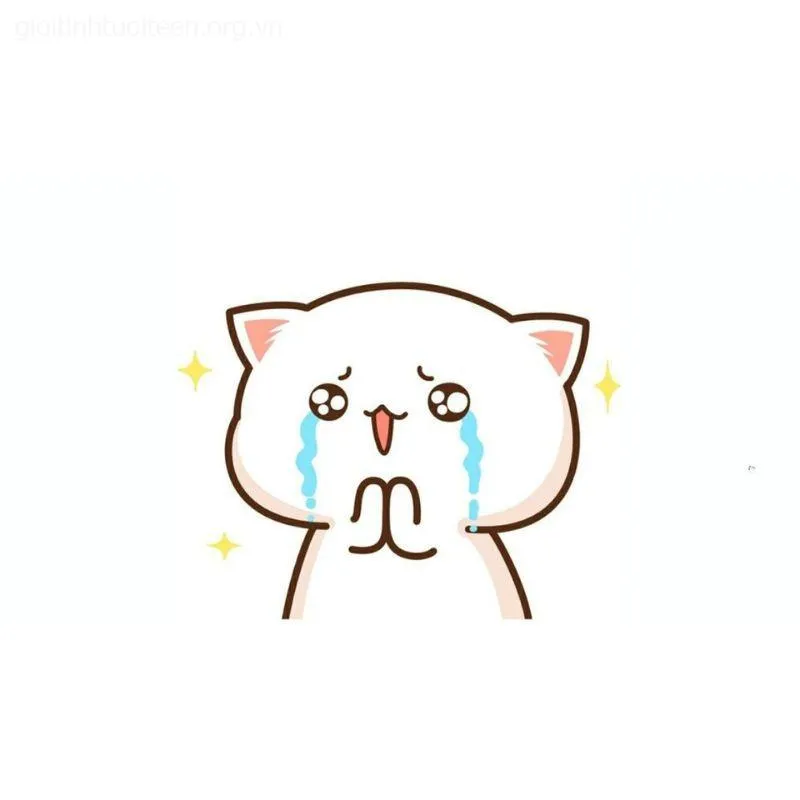 Meme mèo khóc thét, khuôn mặt buồn bã nhưng cực kỳ cute
