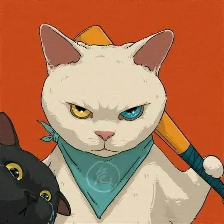 Meme mèo phán xét với ánh mắt soi mói cực đỉnh